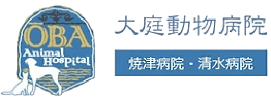 株式会社エス・ティ・シー 採用サイト